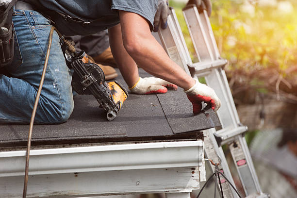 Best Roof Gutter Cleaning  in Adel, GA